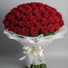 Букет 101 Красная роза Блэк Мэджик в Селявном