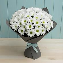 Букет цветов из:  Хризантемы #REPLACE_PRED# Селявном