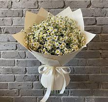 Букет цветов из:  Ромашки #REPLACE_PRED# Селявном