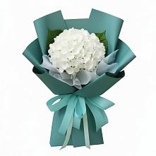 Букет цветов из:  Гортензия #REPLACE_PRED# Селявном